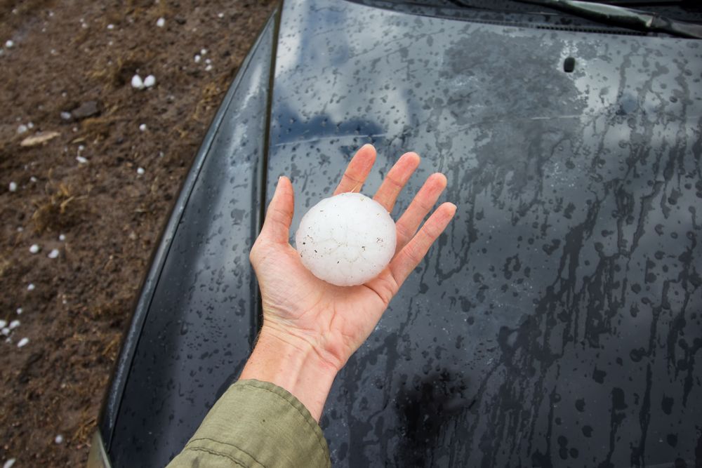 Featured image for the article "Record-Breaking Hailstones Damage Homes and Trees Through the Carolinas"