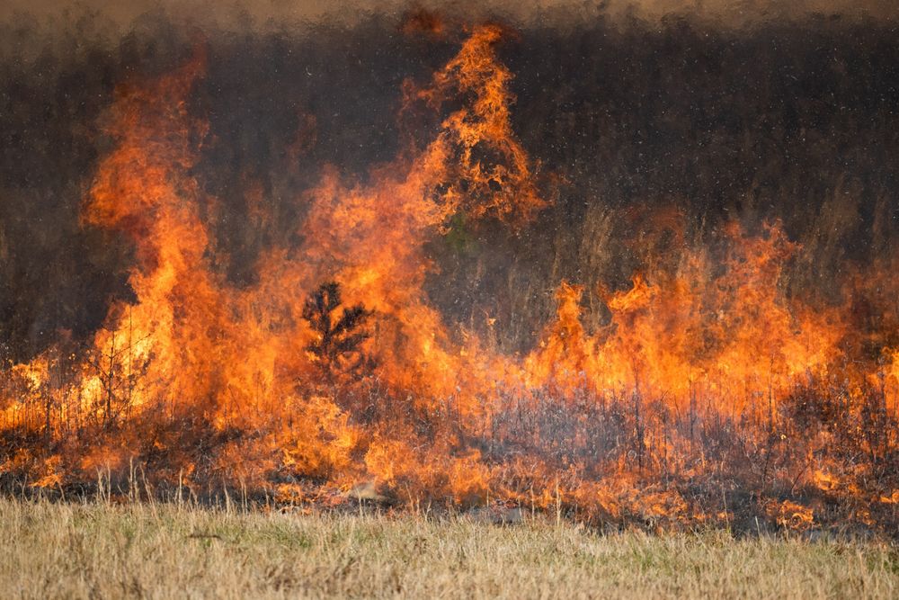 Featured image for the article "What to Expect for the 2024 Wildfire Season in the U.S."