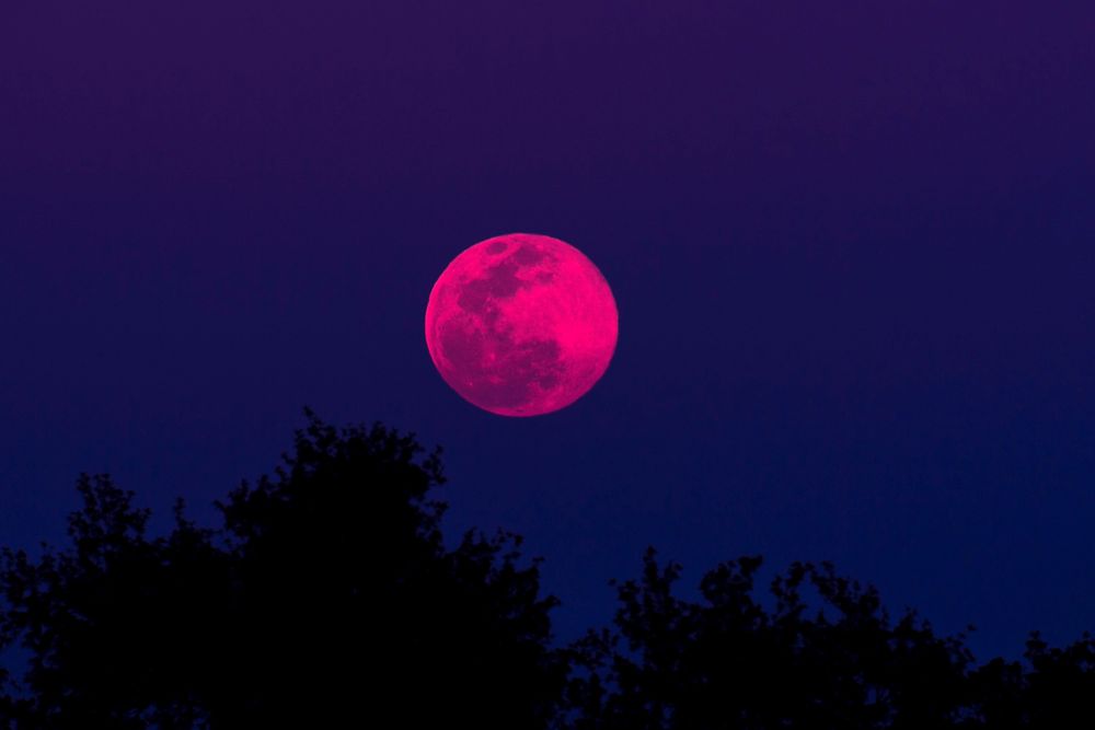 What Is A Pink Moon