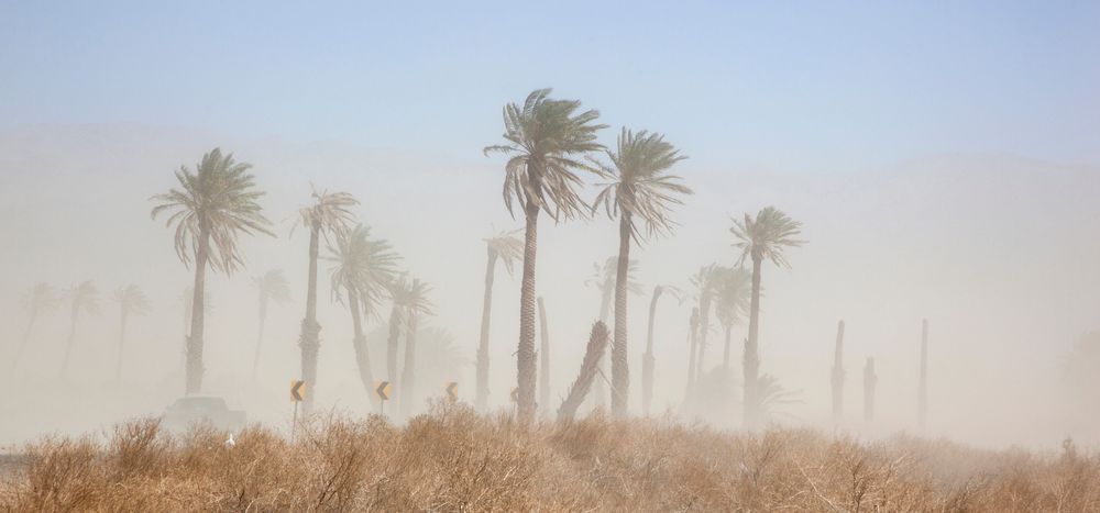 In-article image for the article "Black Sunday and Other Deadly US Dust Storms"