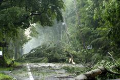 Featured image for the article "Storms Cause Power Outages, Flight Cancellations, and Leave Two Dead"