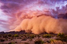Featured image for the article "Black Sunday and Other Deadly US Dust Storms"