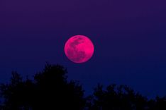 Featured image for the article "What is a Pink Moon and When to See it in the Night Sky "